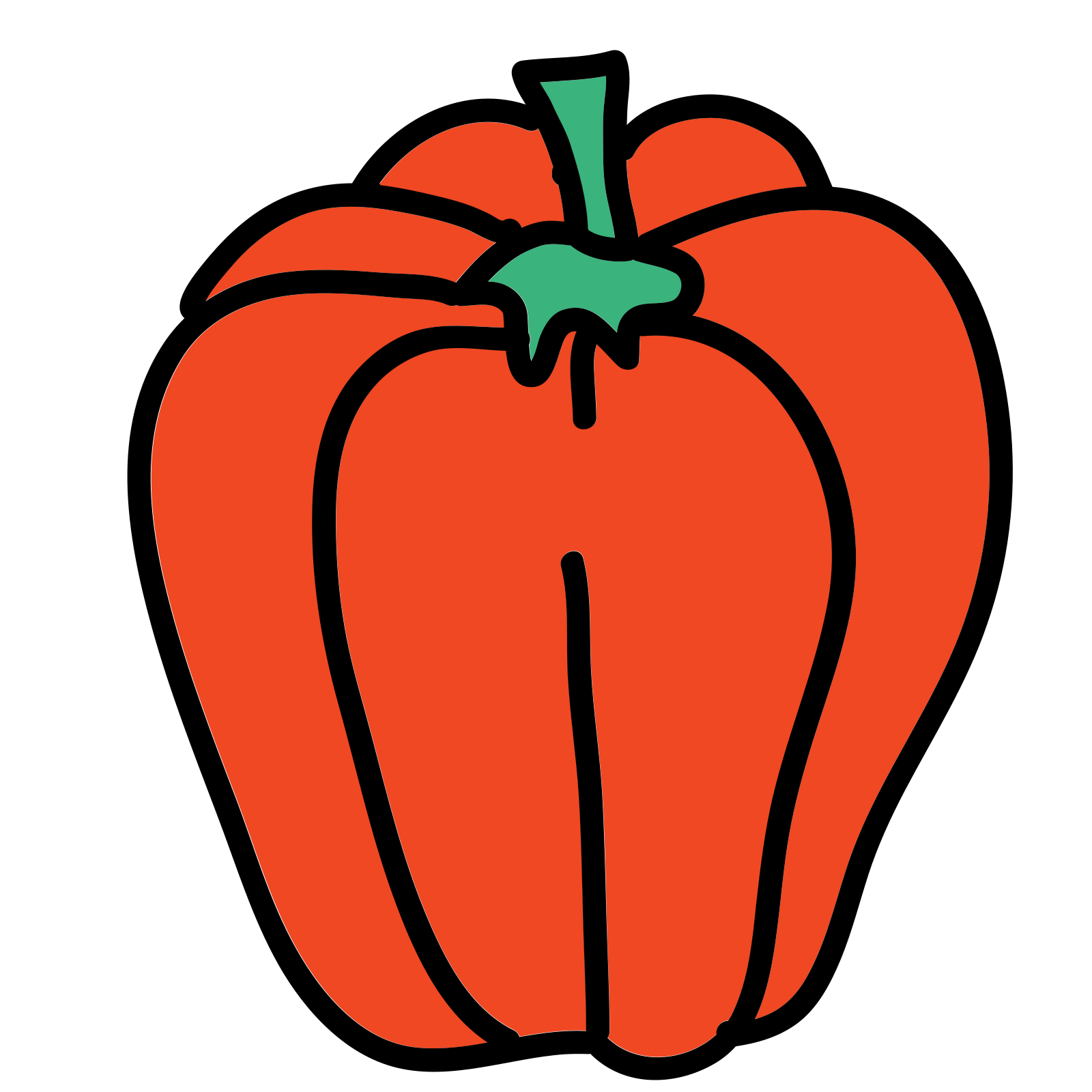 it is sort of shaped like a bell pepper or a longer apple.