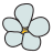 Fiore di pietra termale icon