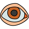 Ojo