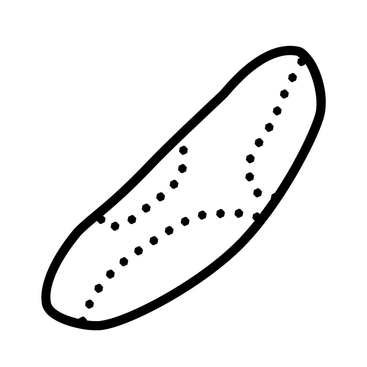 dotted style 巴西坚果 icon