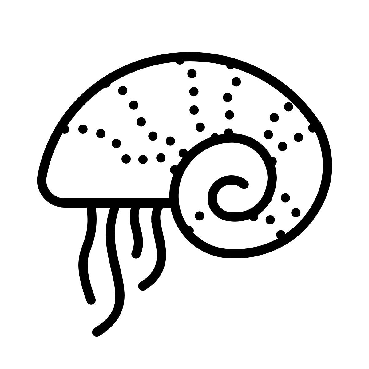 dotted style 노틸러스 icon