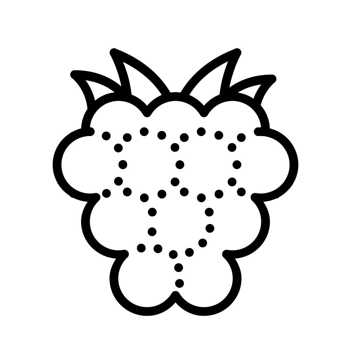 dotted style 산딸기 icon