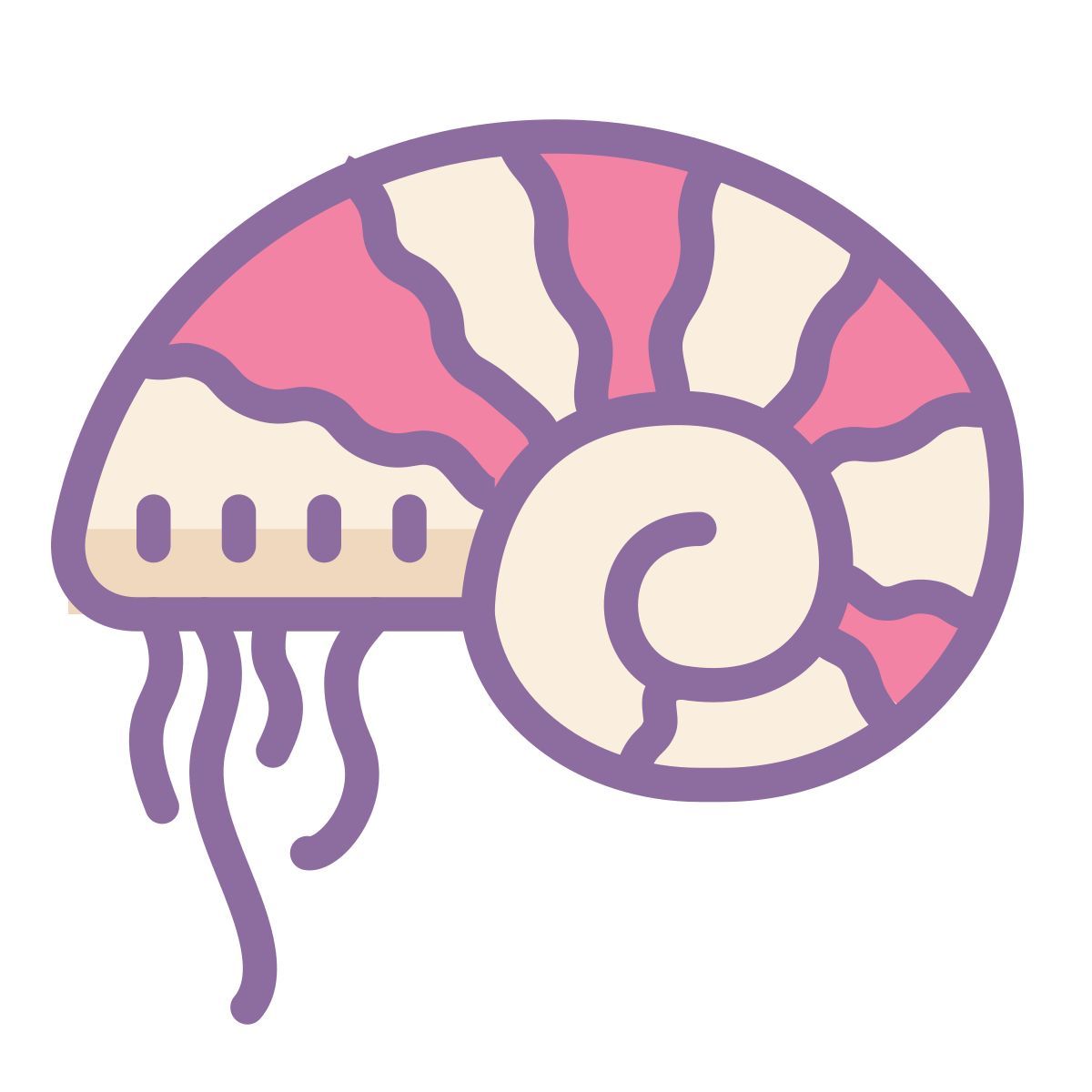 cute color style nautilus icon