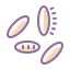 Grains Of Rice icon