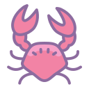 crab -v2 icon