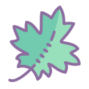 maple leaf icon