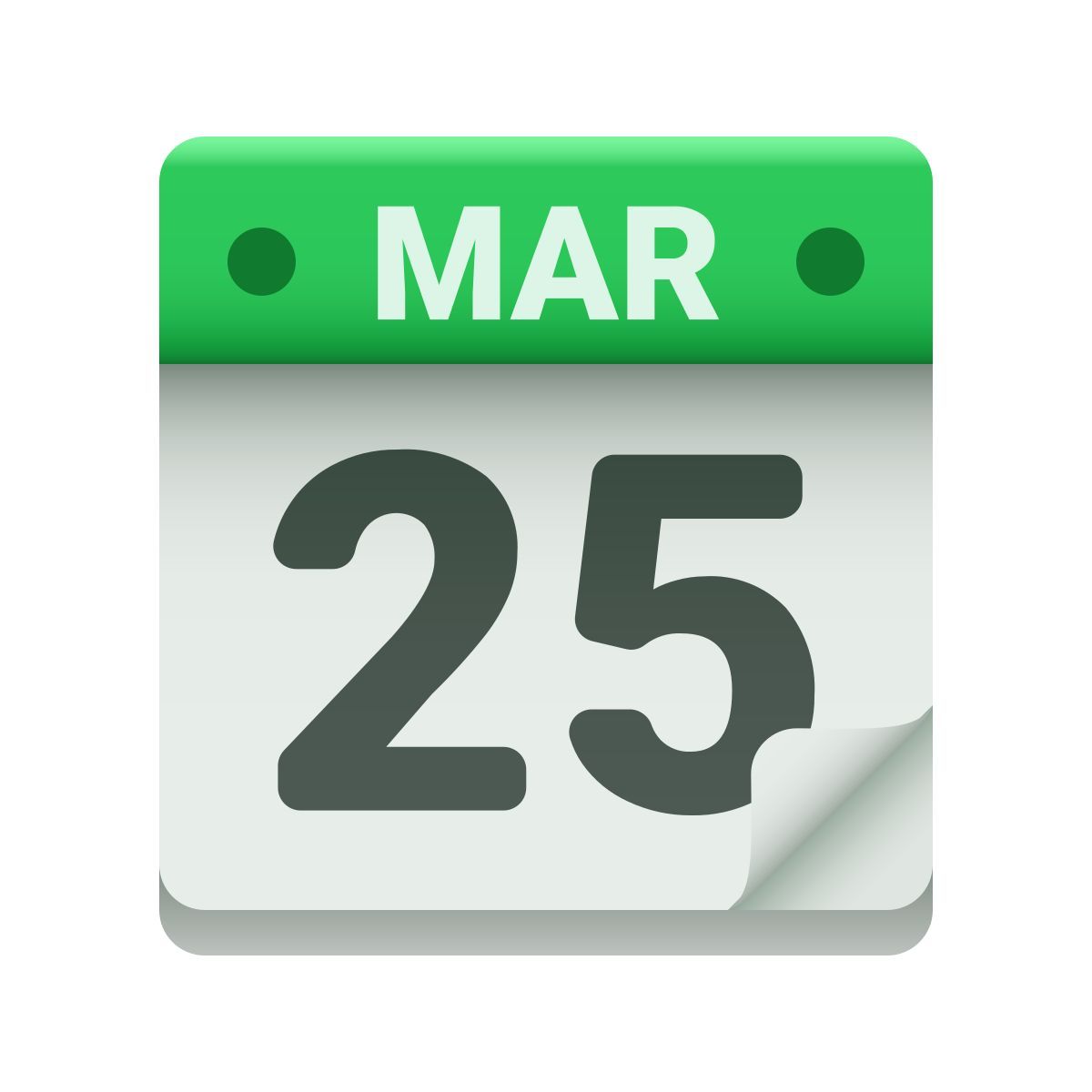 2025 Calendar Icon For Your Planning Needs