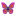 Butterfly Icon