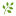 Herb Icon