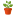 Potted plant icon
