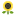 Sunflower Icon