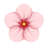 Цветок вишни icon
