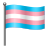Transgender Flag icon