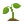 Seedling