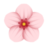 cherry blossom icon