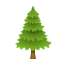 evergreen tree icon