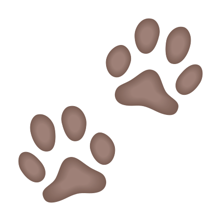Patinhas de gato