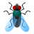 mosca