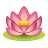 lotus