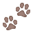 Paw Icon