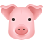 pig icon