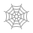 Spider Web
