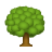 Arbre feuillu