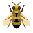 Abeille