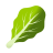 leafy-green
