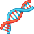 DNA double helix, red and blue strands, representing genetic structure, crucial in genetic testing for Pancreatic Cancer