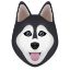 Pets Icon