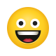 grinning face-emoji icon