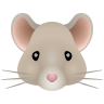 老鼠