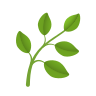 Medicinal Plants