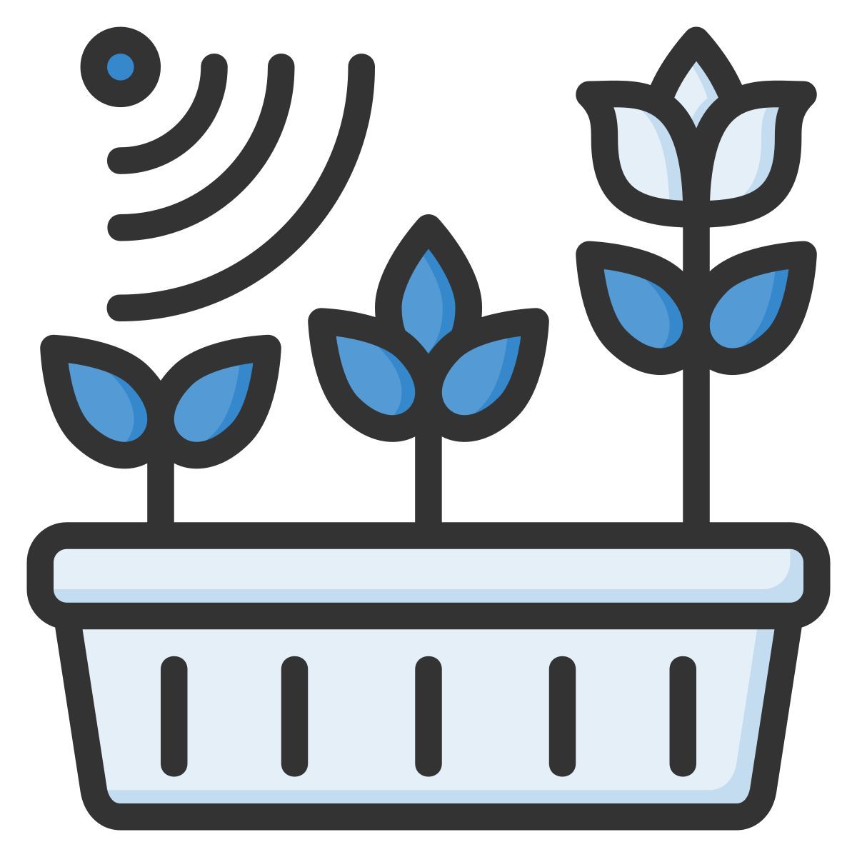 阳光下的植物 icon