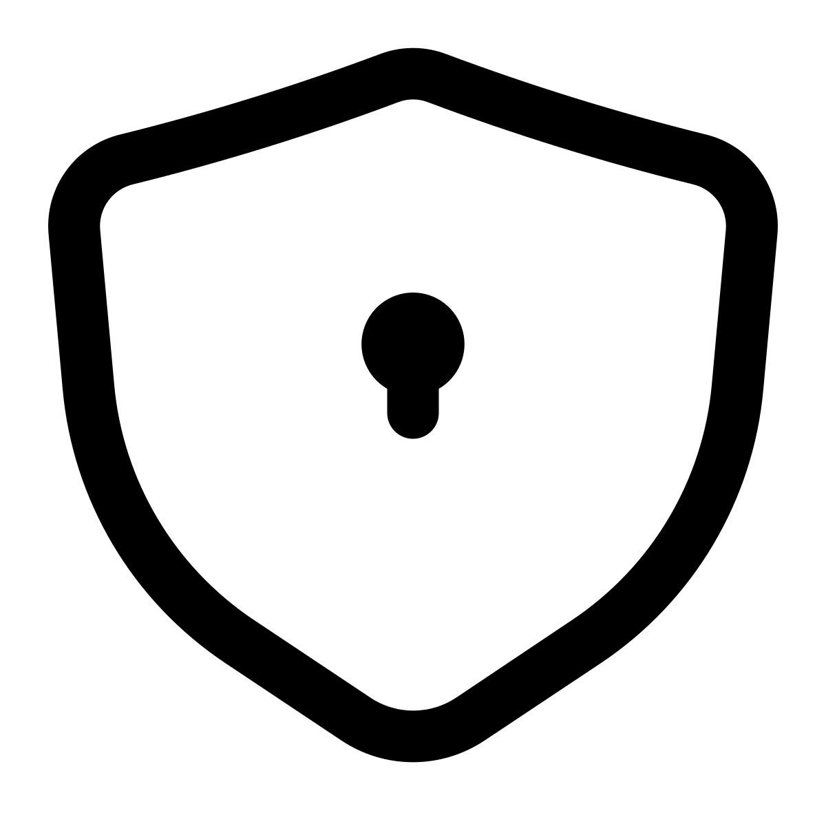shield icon
