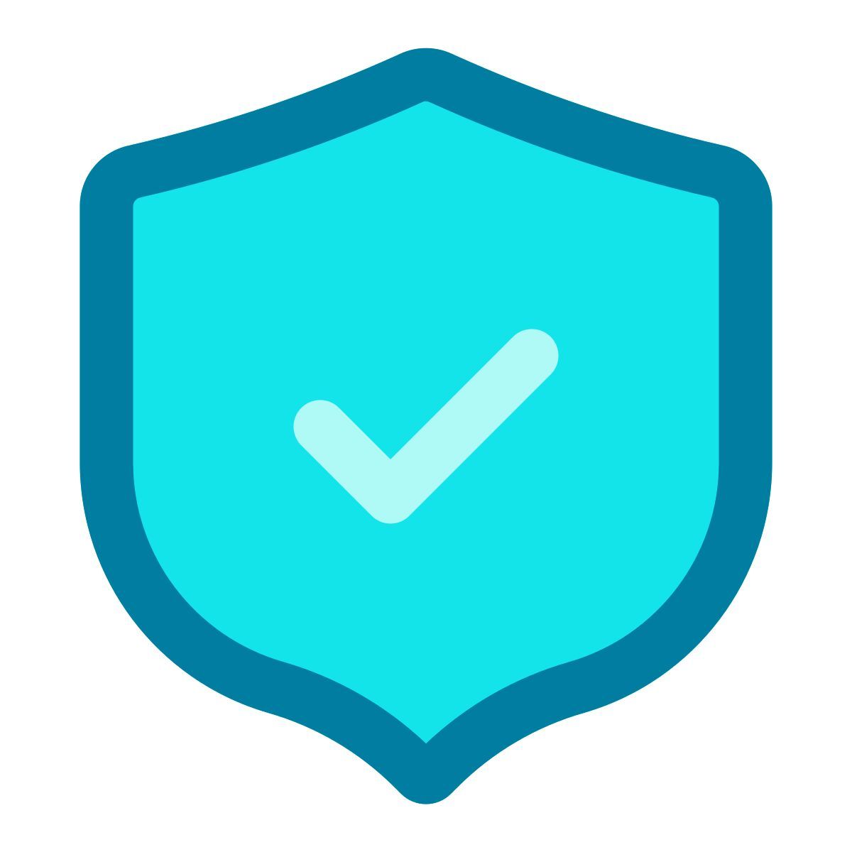 shield icon
