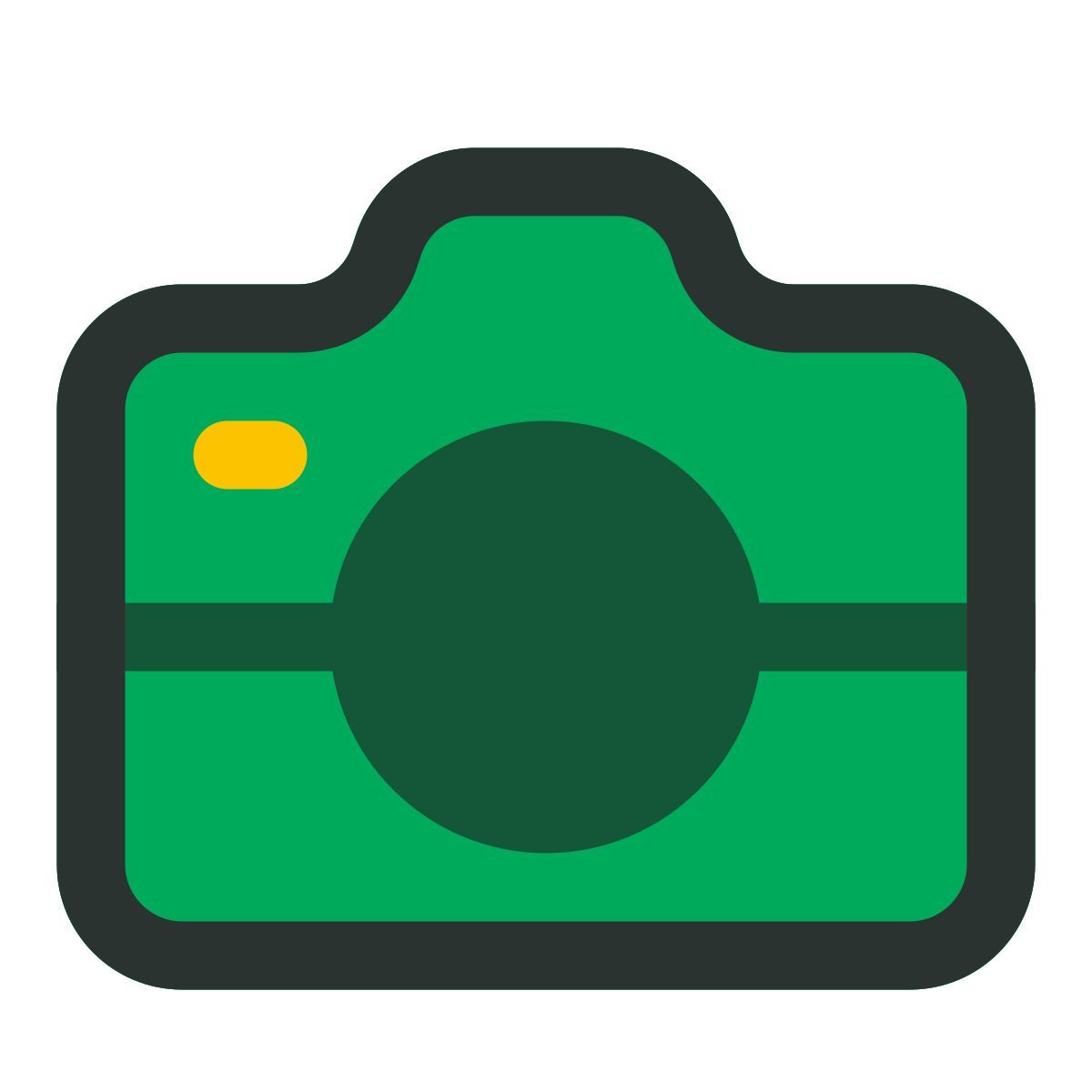 camera icon