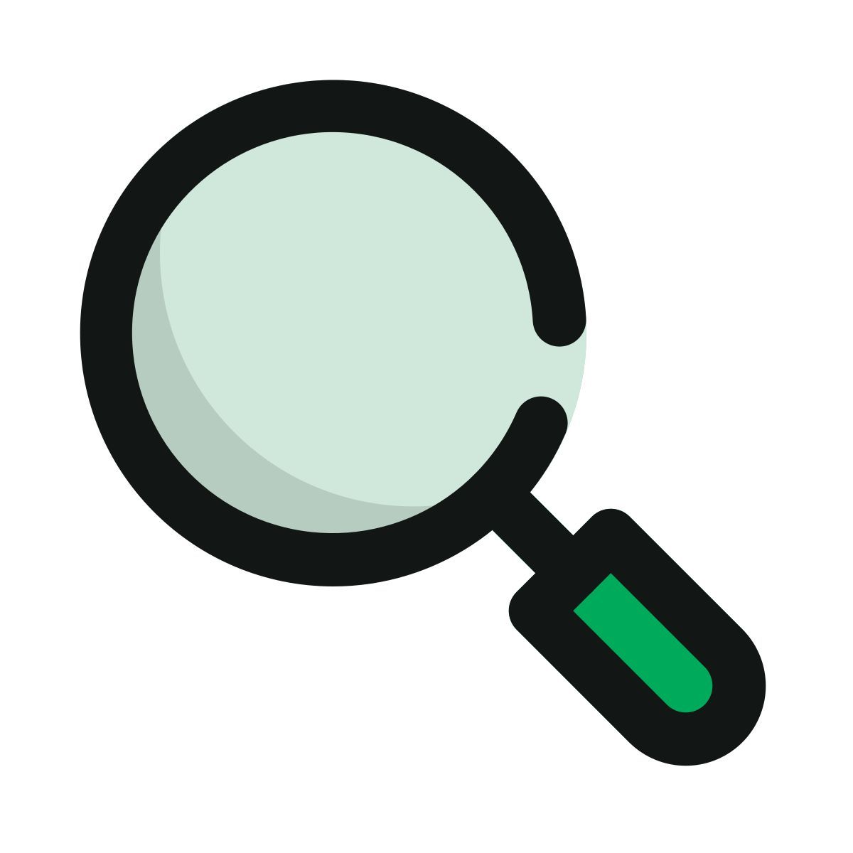 magnifier icon