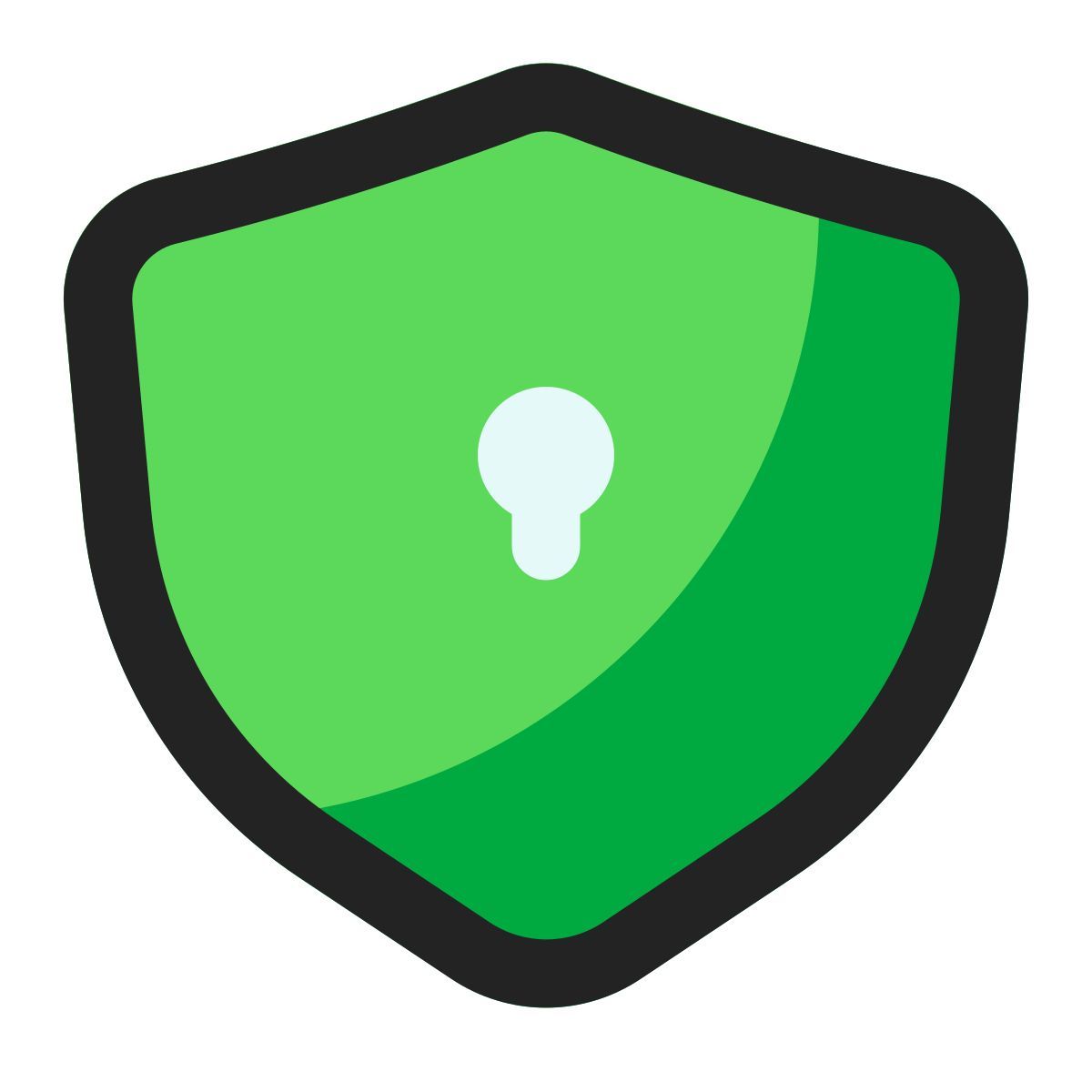 shield icon