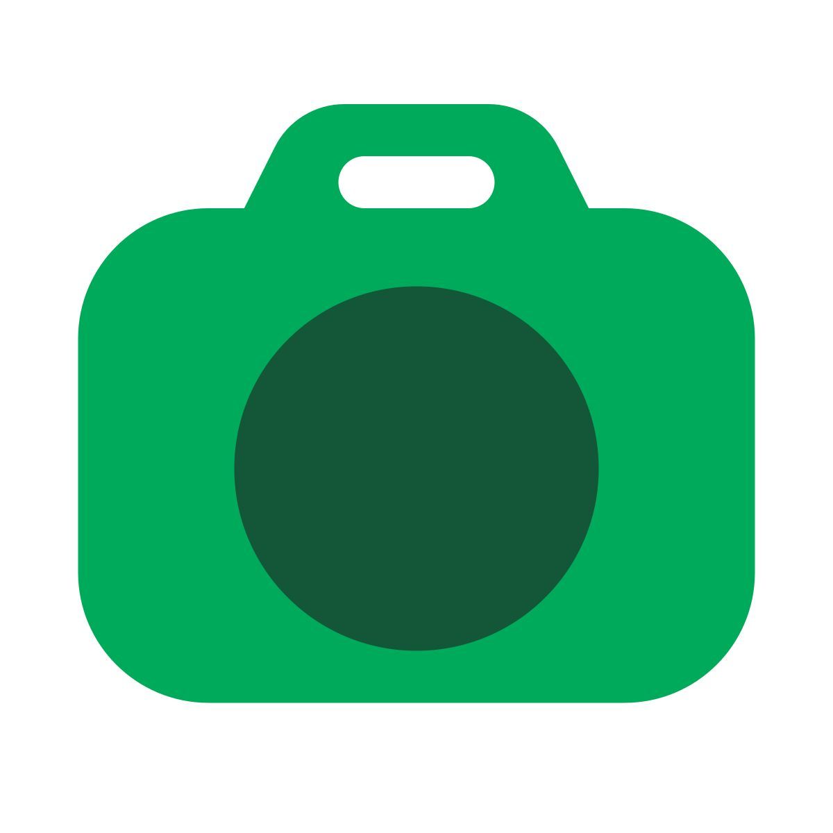 camera icon