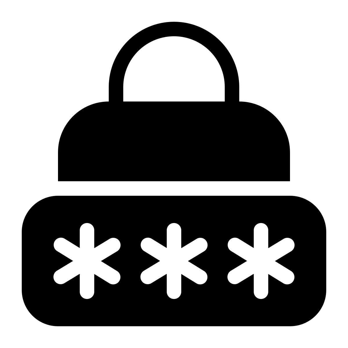 password icon