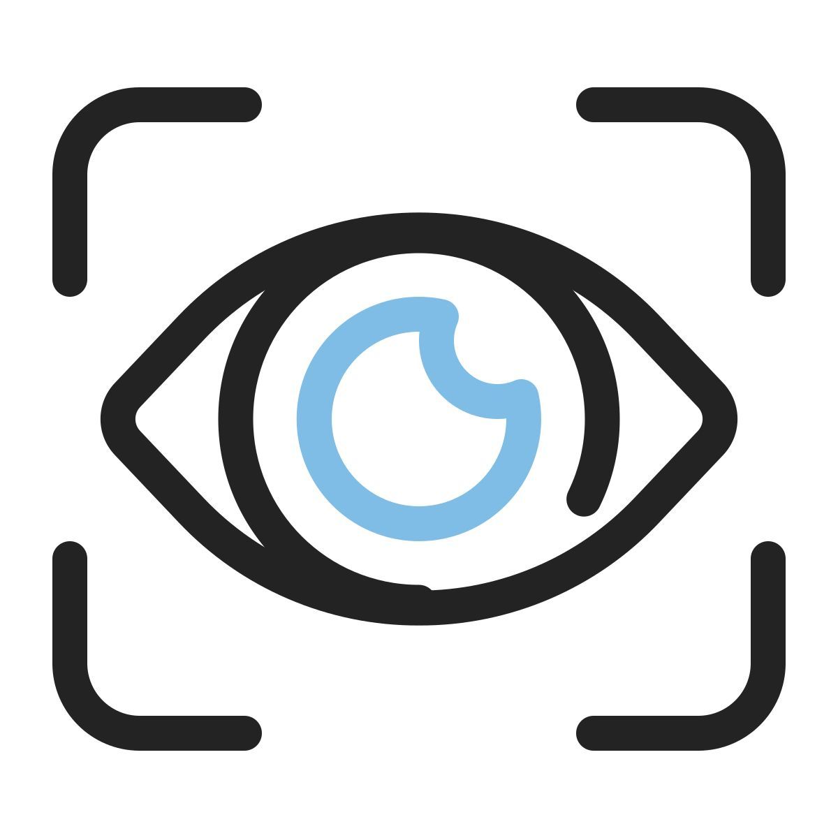 Augenscanner icon