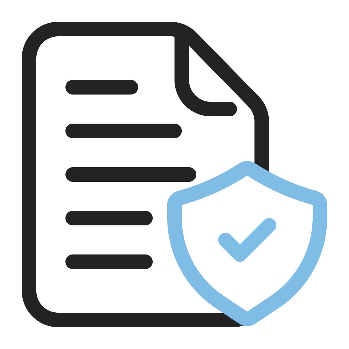 file security icon