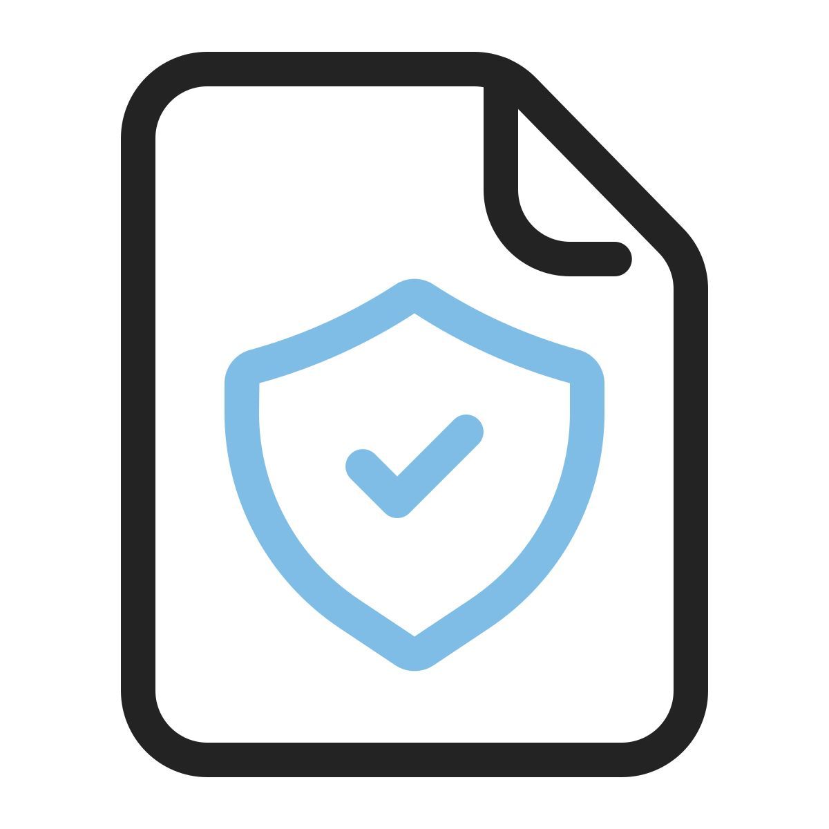 file security icon