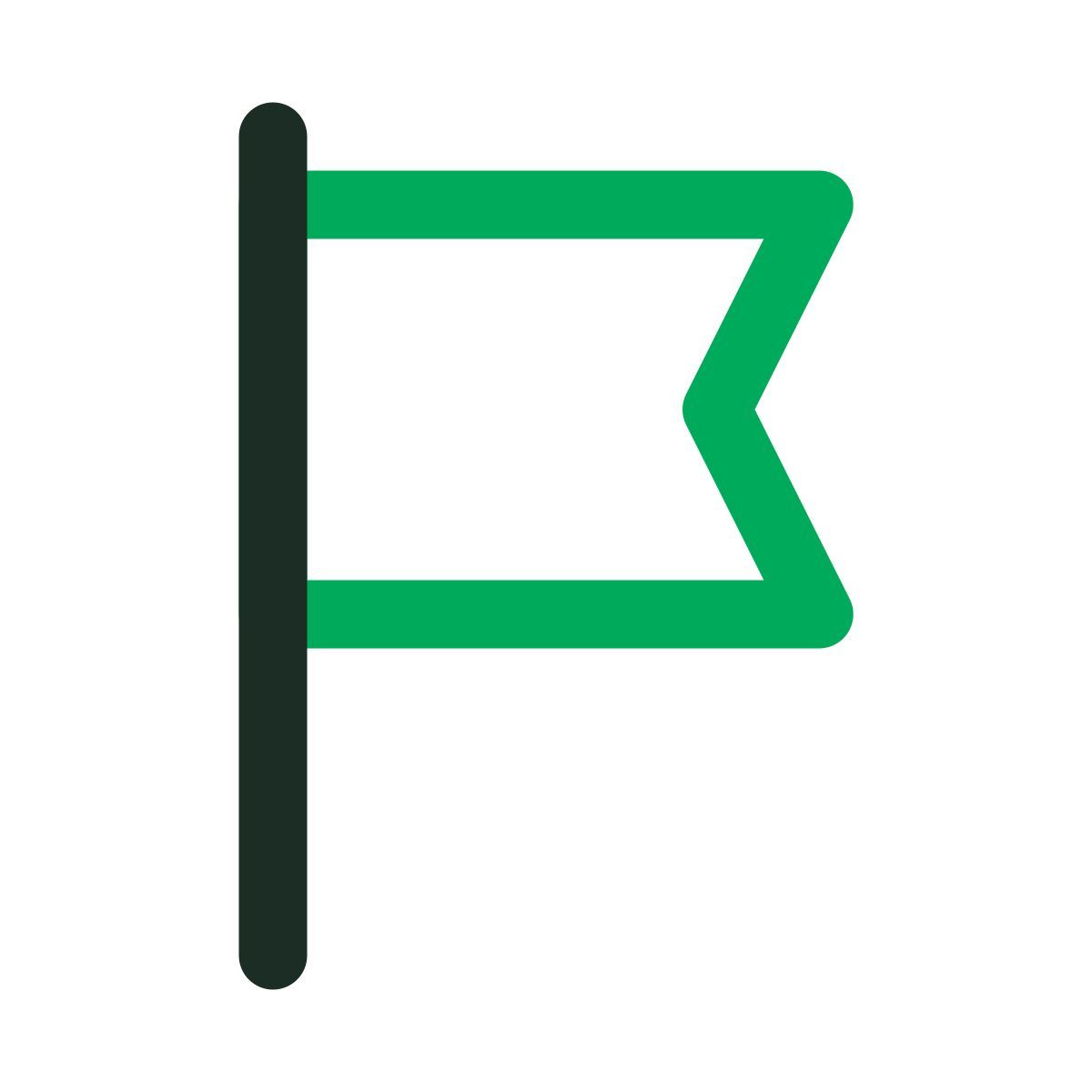 flag icon