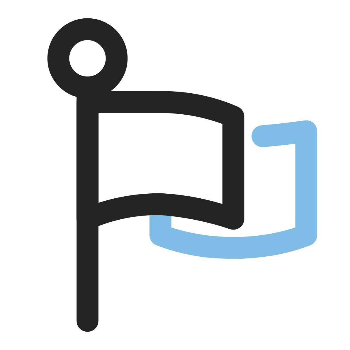 flag icon