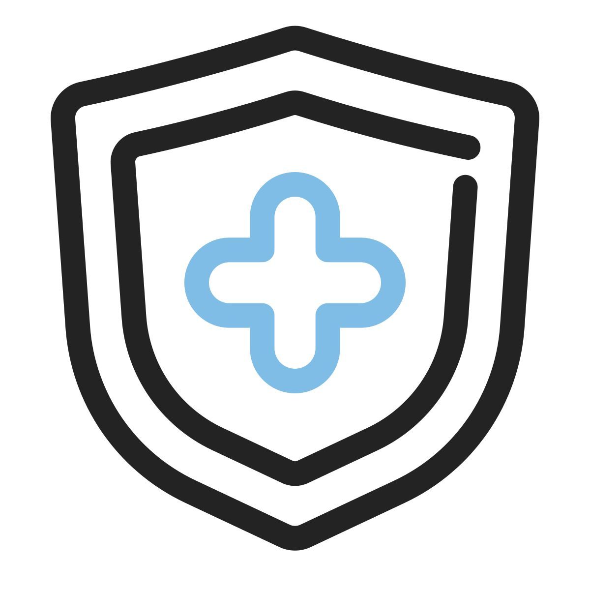medical insurance icon
