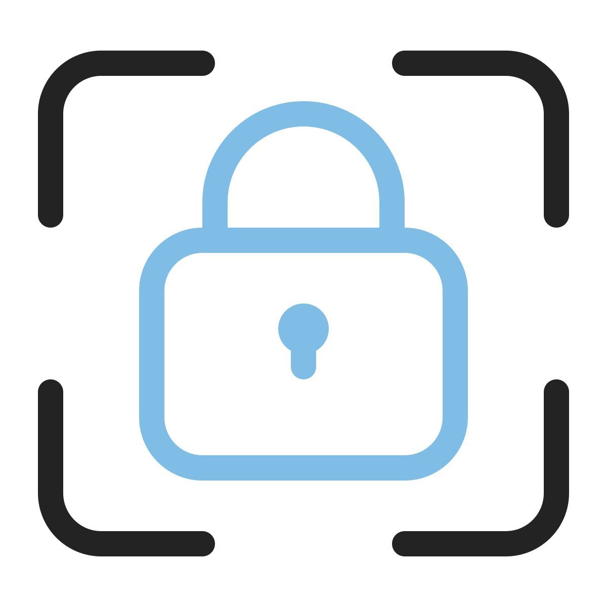 padlock icon