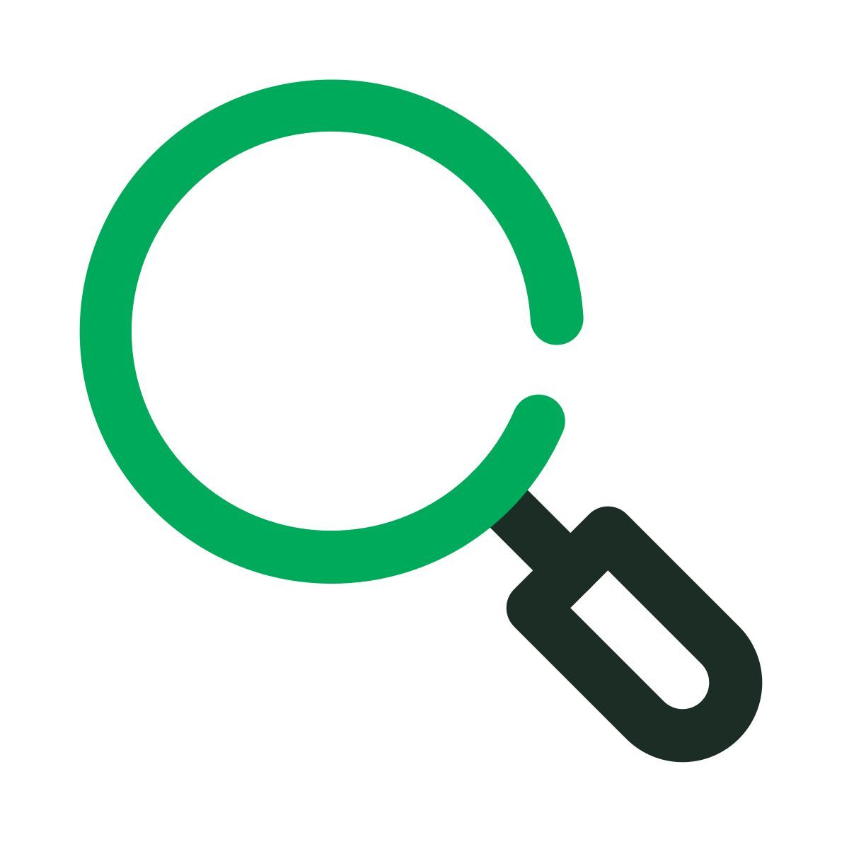 magnifier icon